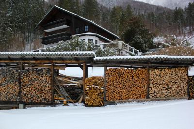 Ogrzewaj mądrze - palenie drewnem a ekologia i ekonomia